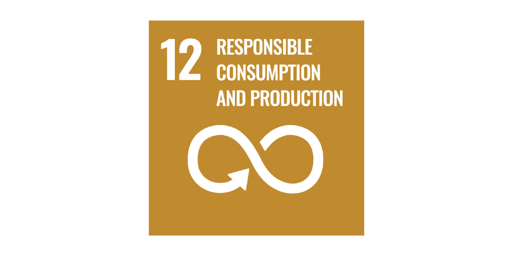 SDG Goal 12