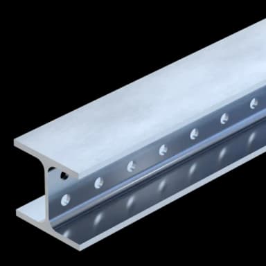 Trägerprofil TP 100 HCP